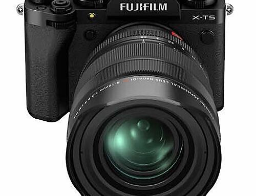 Cách chọn giữa APS-C và Full Frame cho người mới