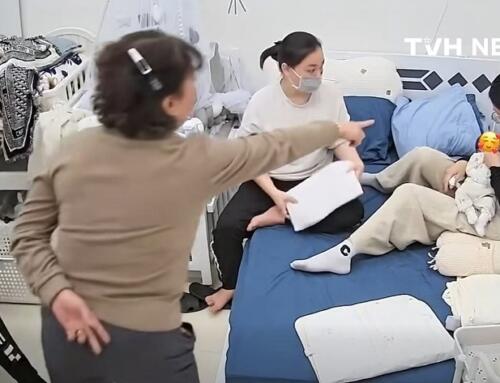 Tị nạn thiên chức