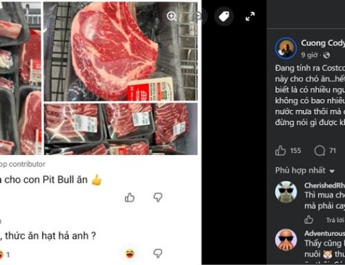 Chó Mỹ, chó Việt