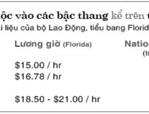 Kỹ nghệ chăm sóc tại gia (Homecare) (kỳ 2)