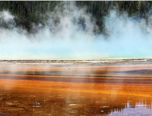 Yellowstone