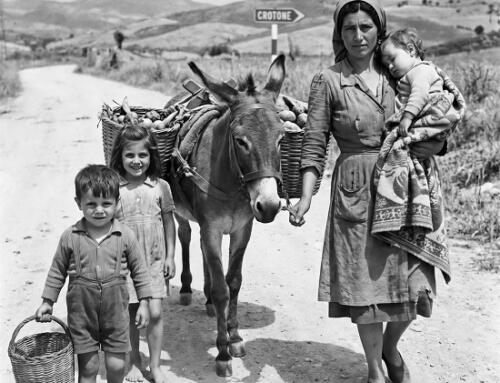 Đường bụi đỏ Calabria