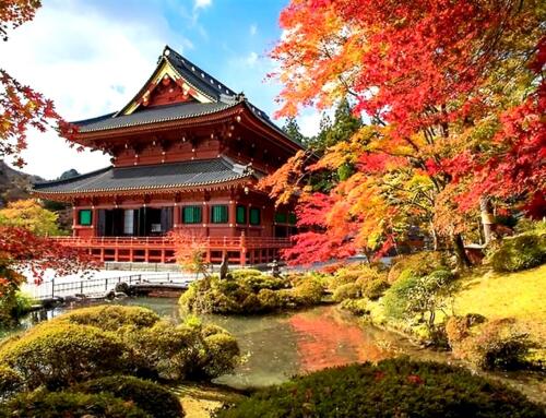 Nikko, mùa thu đỏ thẫm lá phong