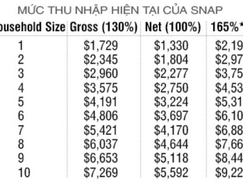 Phúc Lợi Xã Hội ngày 29 tháng 10 năm 2026